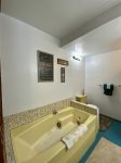 master bath with jacuzzi tub and walk in shower